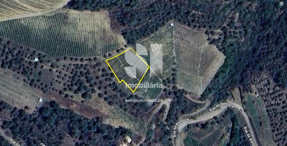 Terreno para Venda em Covas do Douro Foto 10