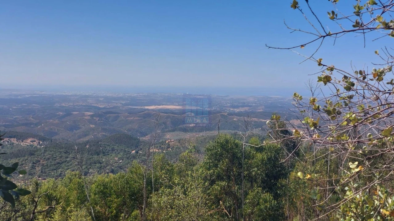 Terreno para Venda em Monchique Foto 15
