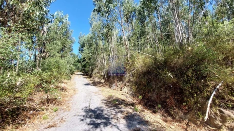 Terreno para Venda em Monchique