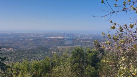 Terreno para Venda em Monchique