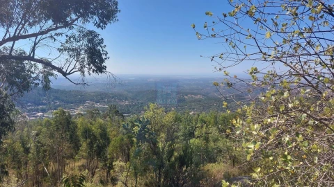 Terreno para Venda em Monchique