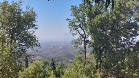 Terreno para Venda em Monchique