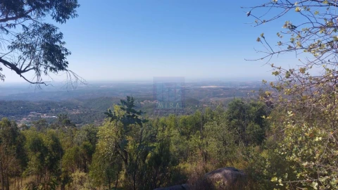 Terreno para Venda em Monchique
