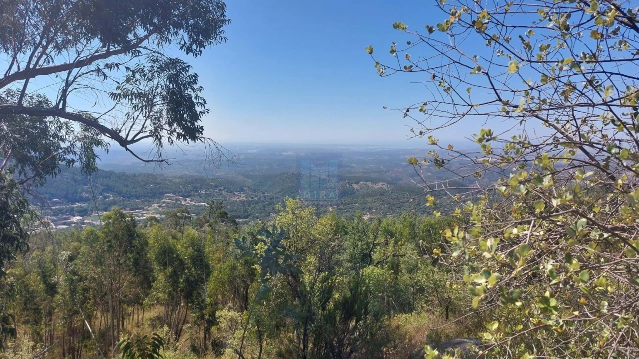 Terreno para Venda em Monchique Foto 29