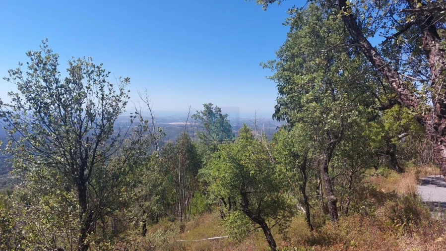 Terreno para Venda em Monchique Foto 27
