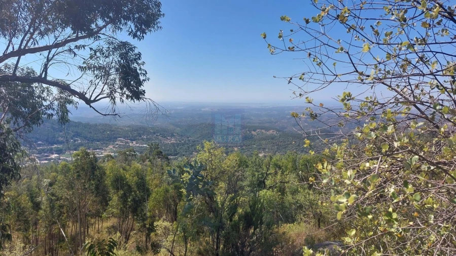 Terreno para Venda em Monchique Foto 29