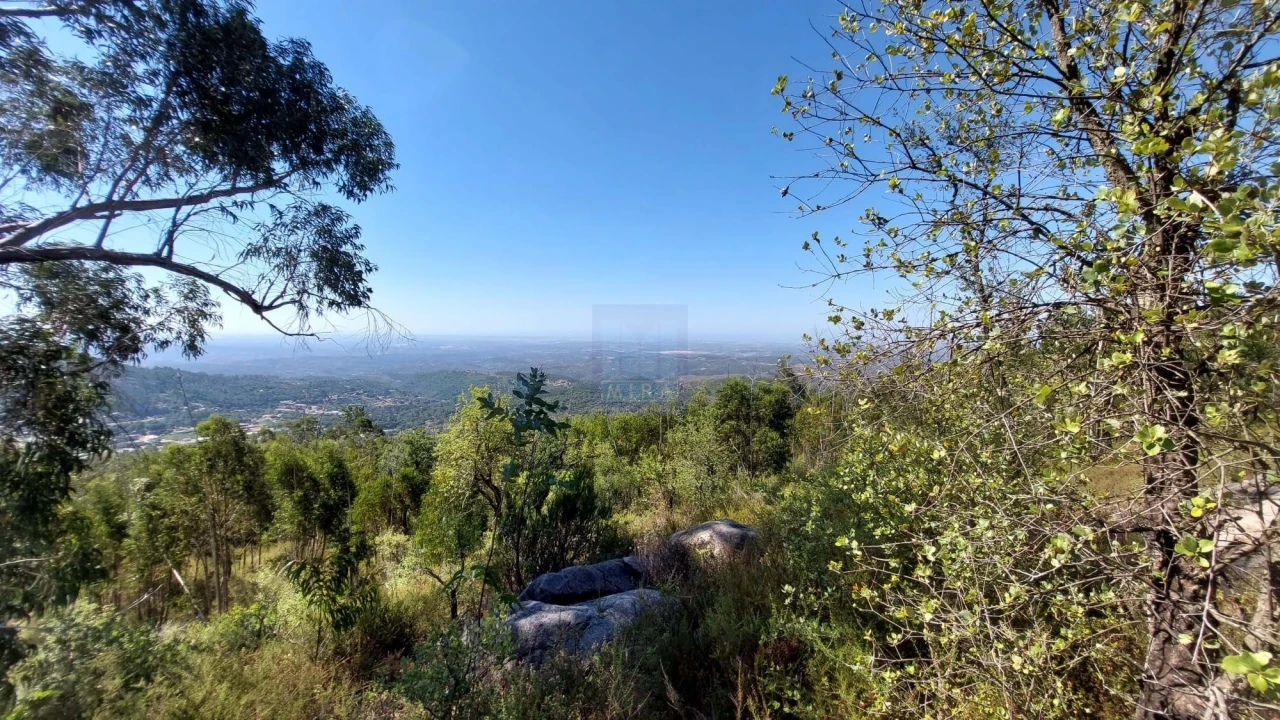 Terreno para Venda em Monchique Foto 31