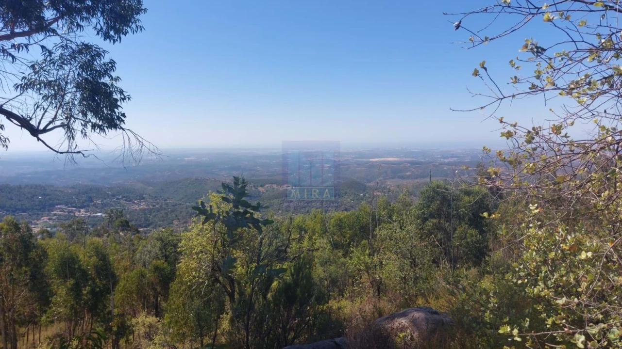 Terreno para Venda em Monchique Foto 32