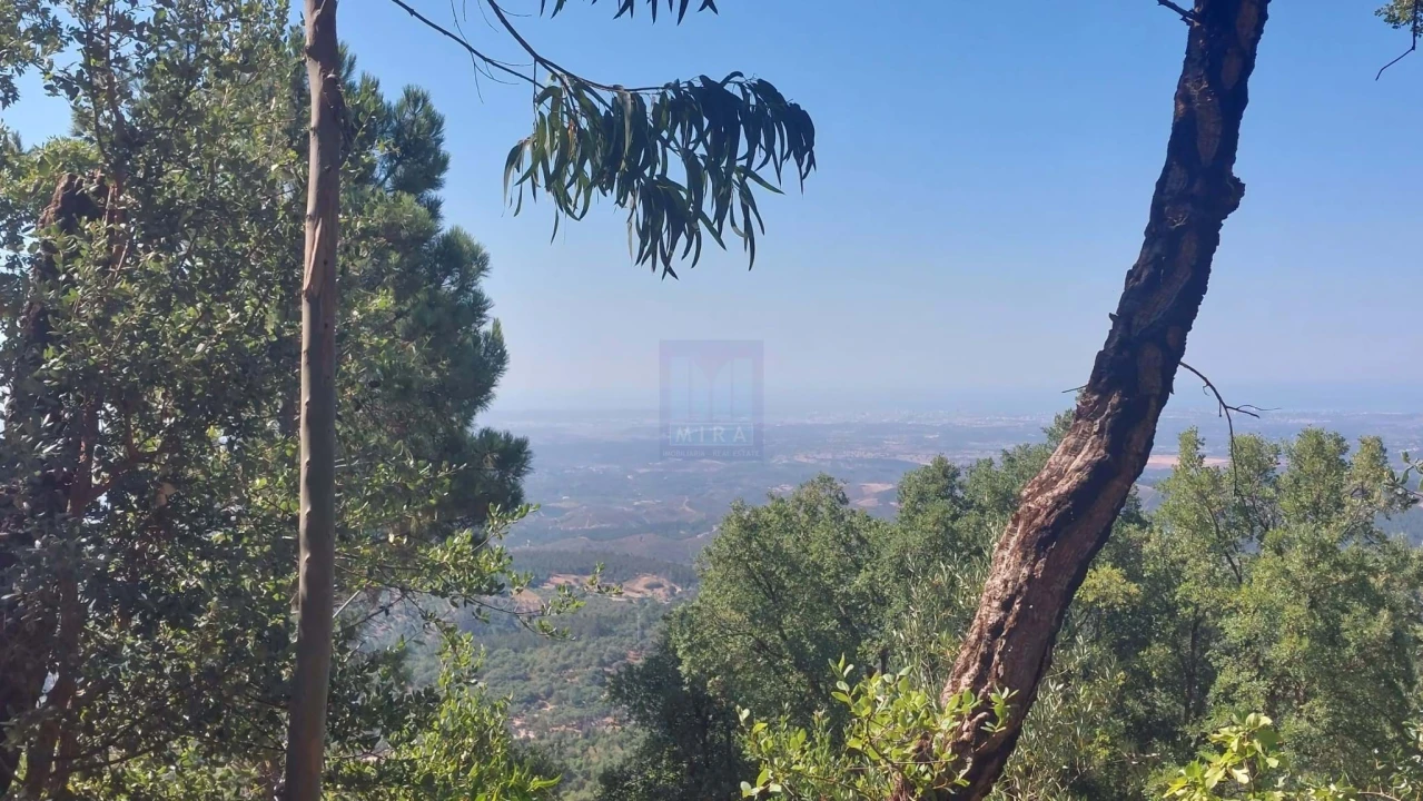 Terreno para Venda em Monchique Foto 2