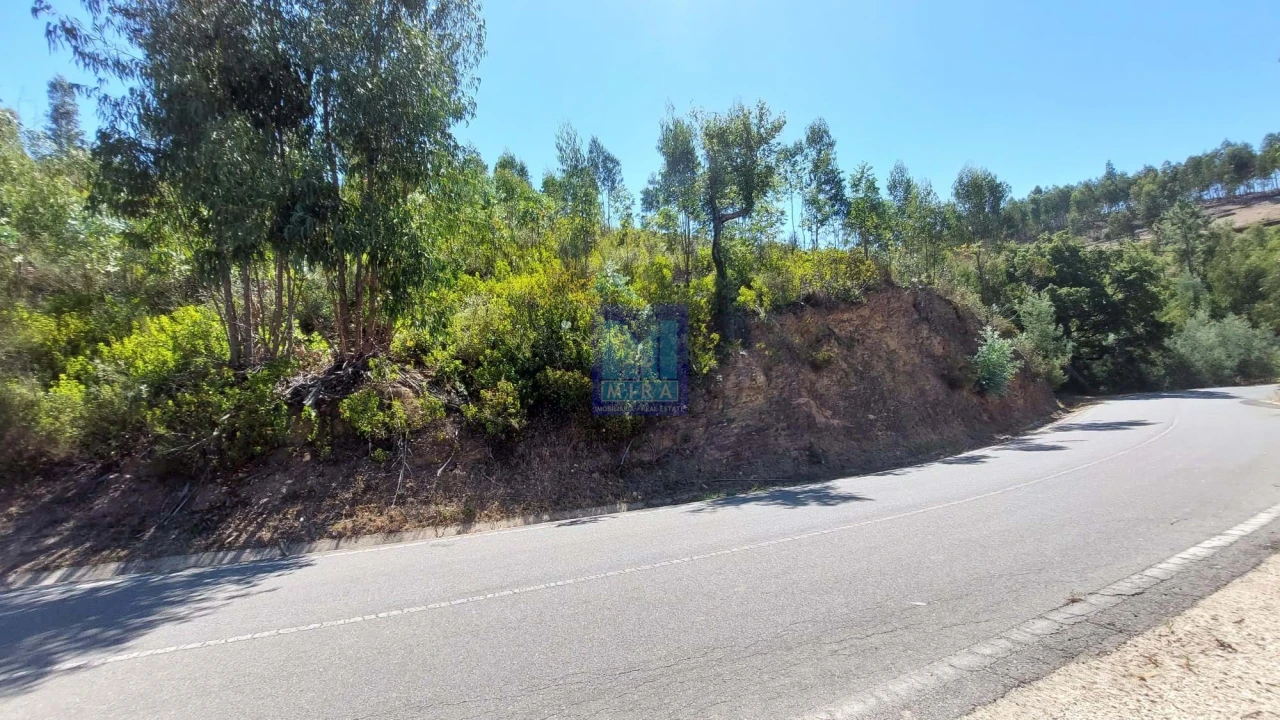 Quinta T3 para Venda em Monchique Foto 7