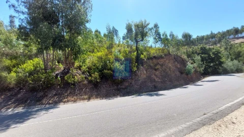 Quinta T3 para Venda em Monchique