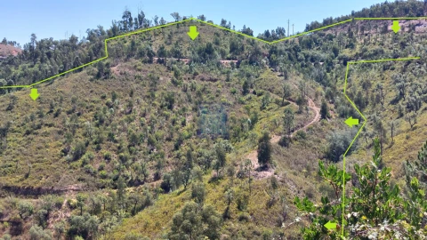 Quinta T3 para Venda em Monchique