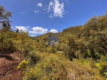 Quinta T3 para Venda em Monchique