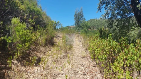 Quinta T3 para Venda em Monchique