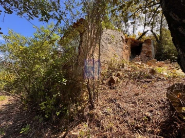 Quinta T3 para Venda em Monchique