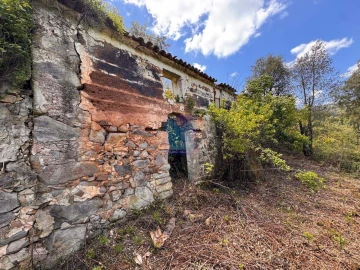 Quinta T3 para Venda em Monchique