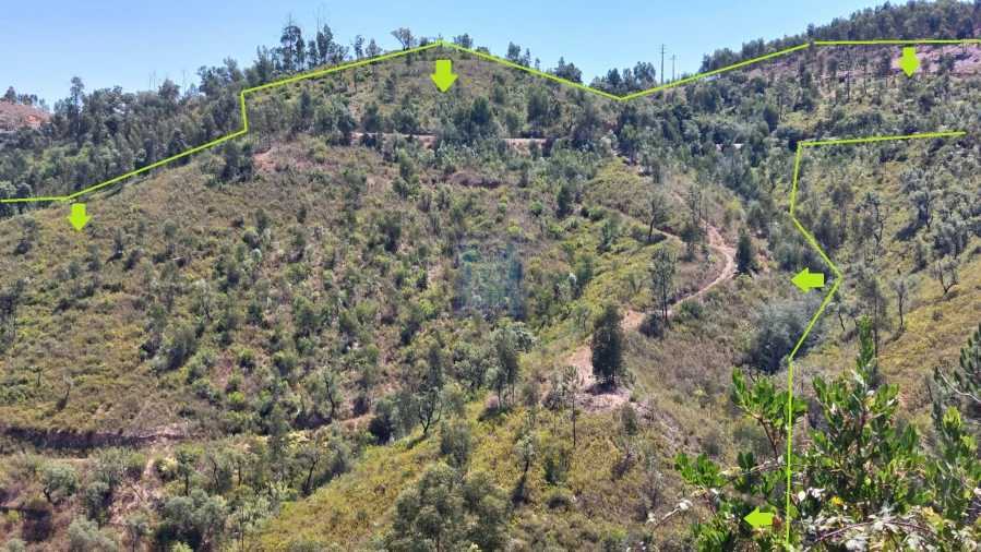 Quinta T3 para Venda em Monchique Foto 3