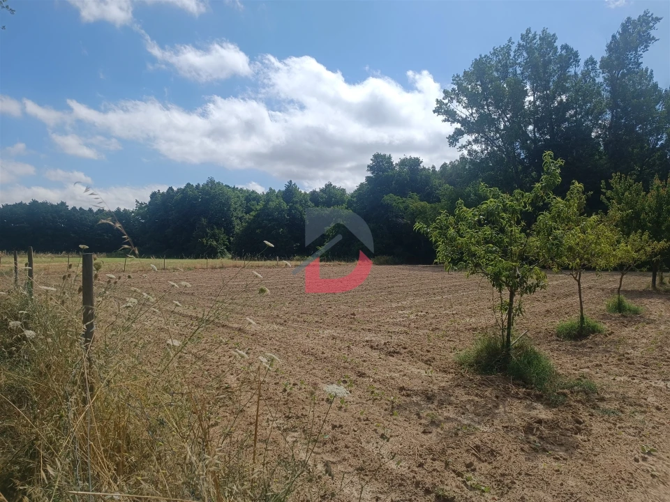 Terreno Agricola ou Rústico para Venda em Póvoa de Rio de Moinhos e Cafede Foto 1