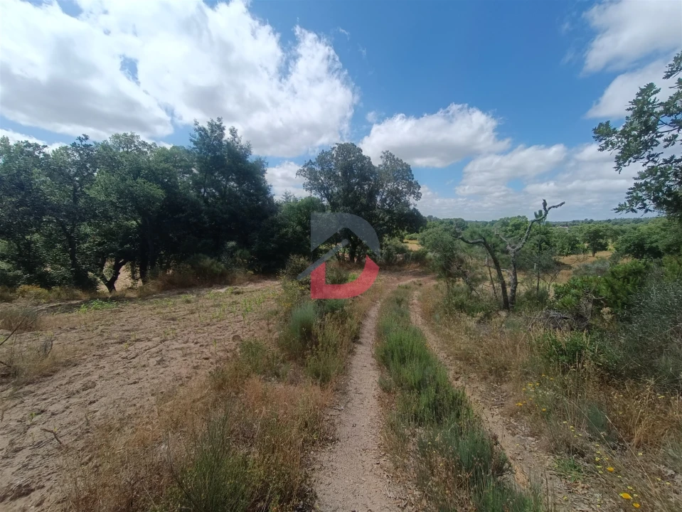 Terreno Agricola ou Rústico para Venda em Póvoa de Rio de Moinhos e Cafede Foto 9