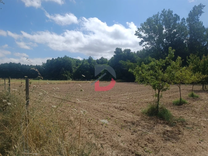 Terreno Agricola ou Rústico para Venda em Póvoa de Rio de Moinhos e Cafede