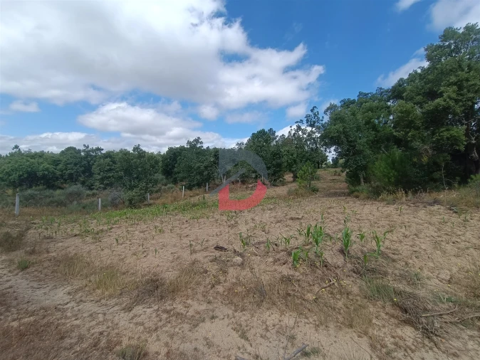 Terreno Agricola ou Rústico para Venda em Póvoa de Rio de Moinhos e Cafede Foto 8