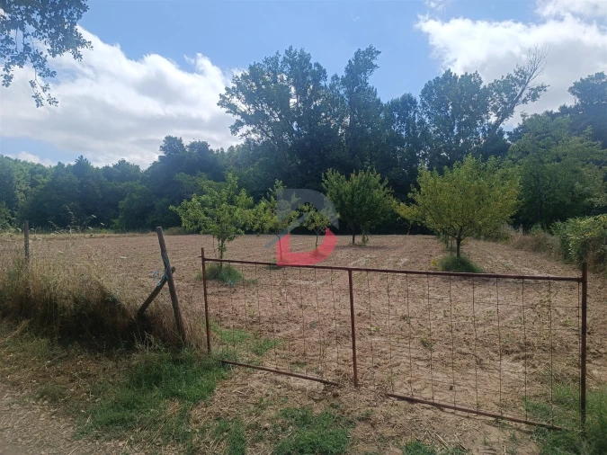 Terreno Agricola ou Rústico para Venda em Póvoa de Rio de Moinhos e Cafede Foto 4