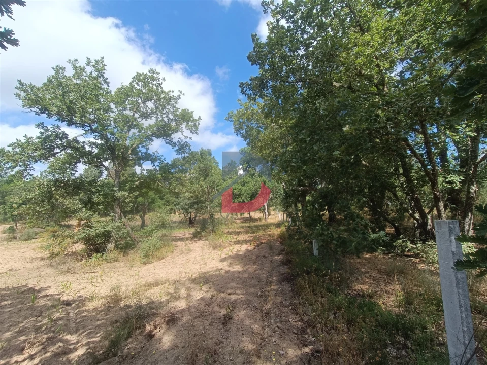Terreno Agricola ou Rústico para Venda em Póvoa de Rio de Moinhos e Cafede Foto 11
