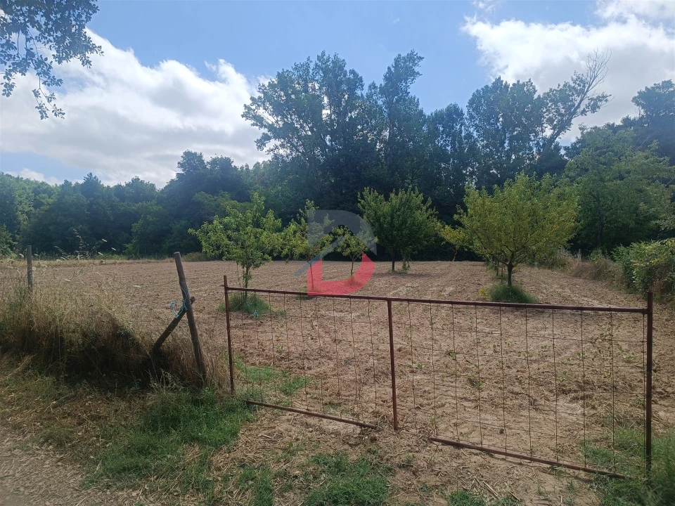 Terreno Agricola ou Rústico para Venda em Póvoa de Rio de Moinhos e Cafede Foto 4