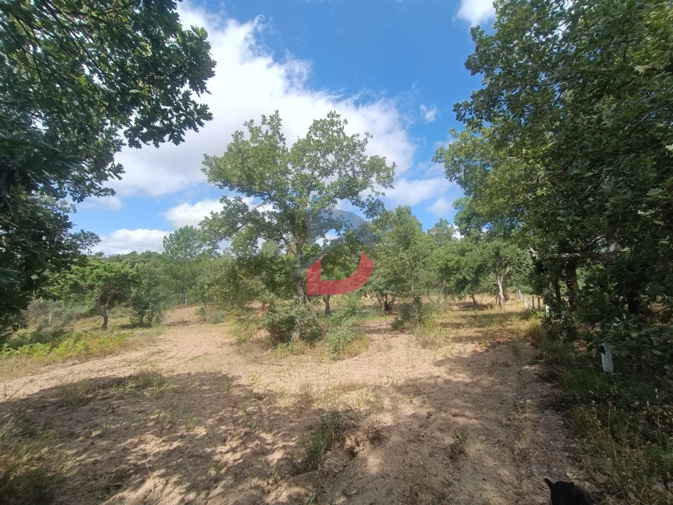 Terreno Agricola ou Rústico para Venda em Póvoa de Rio de Moinhos e Cafede Foto 10