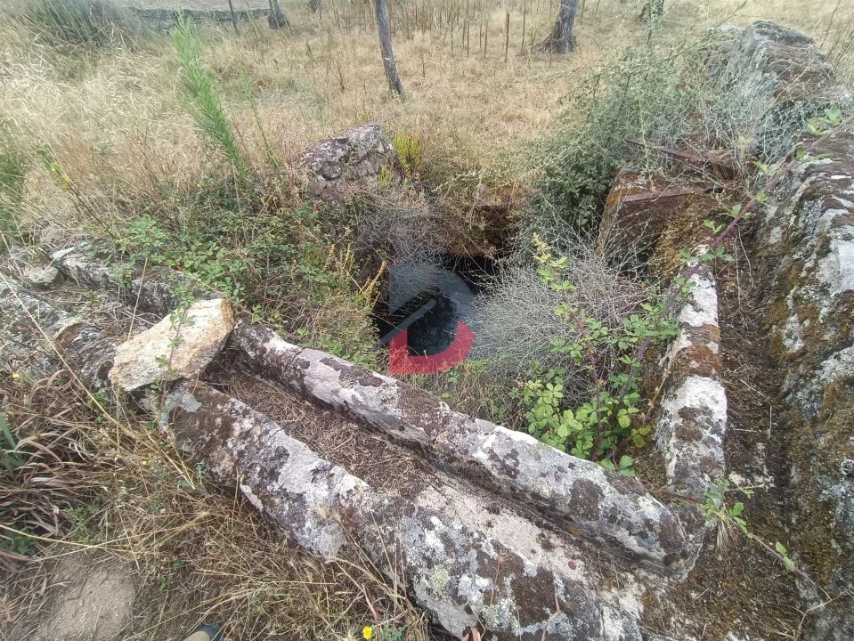 Terreno Agricola ou Rústico para Venda em Póvoa de Rio de Moinhos e Cafede Foto 8
