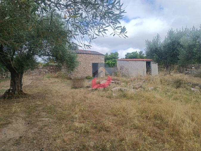 Terreno Agricola ou Rústico para Venda em Póvoa de Rio de Moinhos e Cafede Foto 10