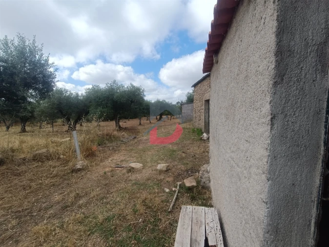 Terreno Agricola ou Rústico para Venda em Póvoa de Rio de Moinhos e Cafede Foto 6