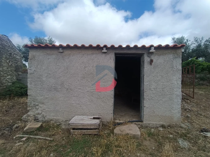 Terreno Agricola ou Rústico para Venda em Póvoa de Rio de Moinhos e Cafede Foto 2