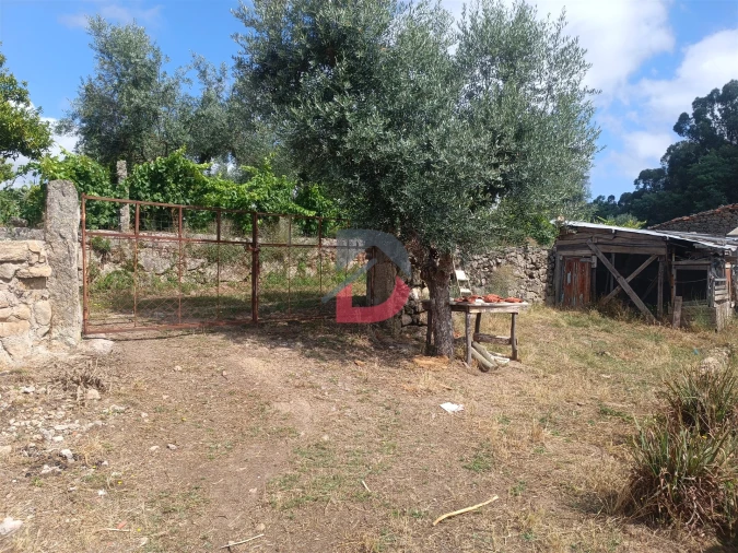 Terreno Agricola ou Rústico para Venda em Póvoa de Rio de Moinhos e Cafede Foto 23