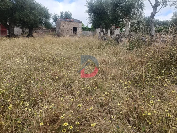 Terreno Agricola ou Rústico para Venda em Póvoa de Rio de Moinhos e Cafede Foto 14