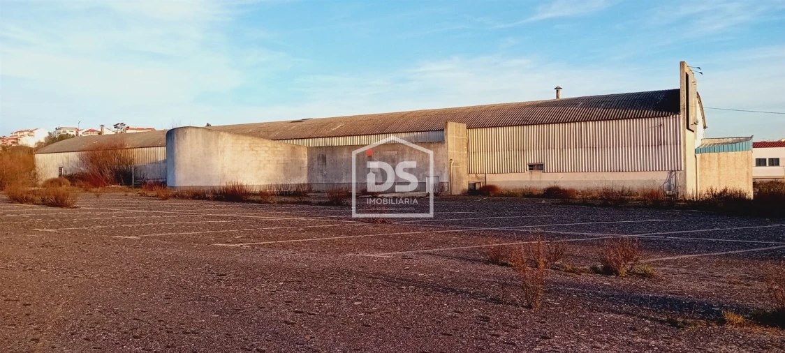 Armazém para Venda em Guarda Foto 16