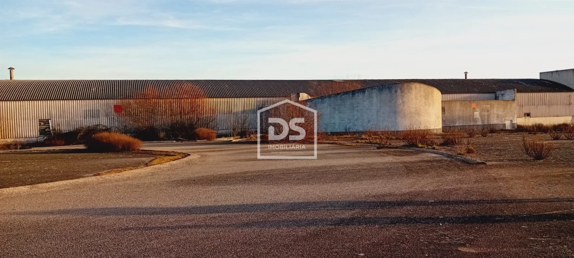 Armazém para Venda em Guarda Foto 8