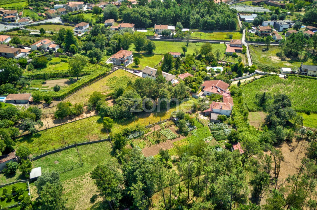 Terreno para Venda em Barreiros Foto 15