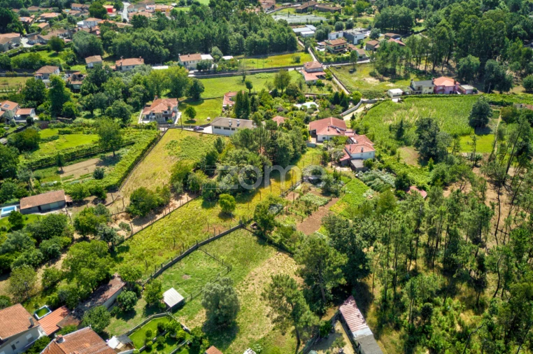 Terreno para Venda em Barreiros Foto 14