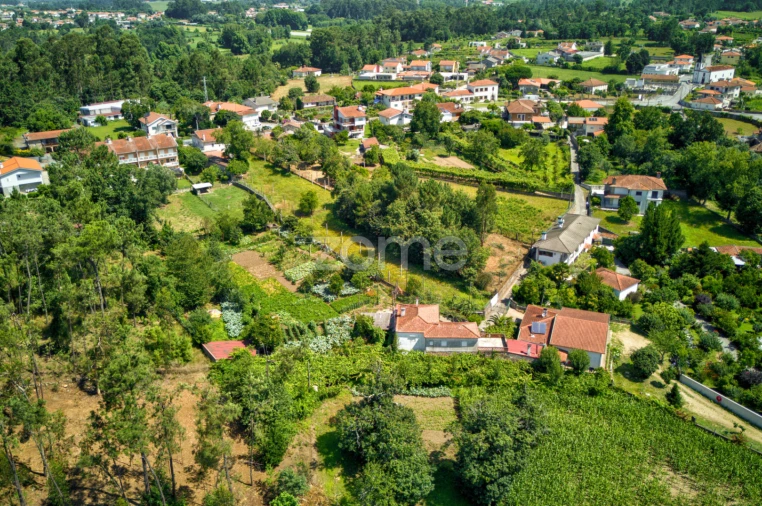 Terreno para Venda em Barreiros Foto 4