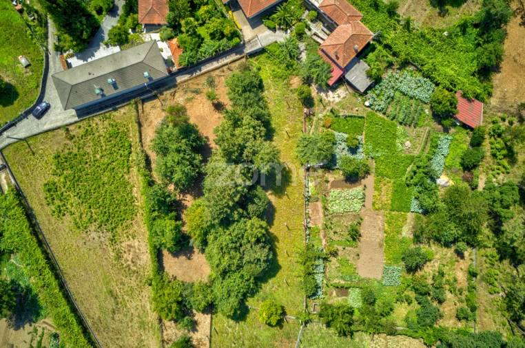 Terreno para Venda em Barreiros Foto 5