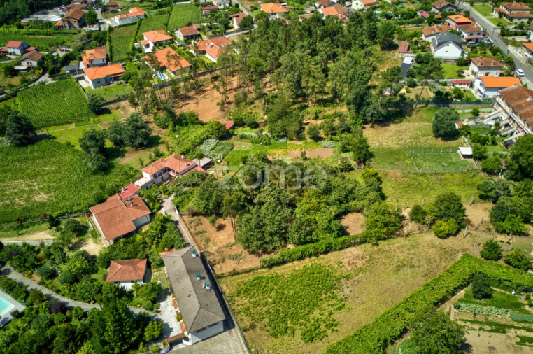 Terreno para Venda em Barreiros Foto 8