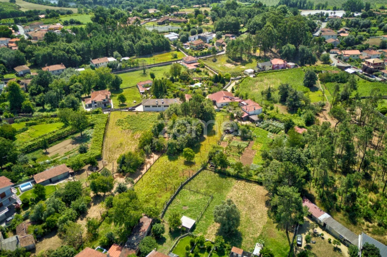 Terreno para Venda em Barreiros Foto 13