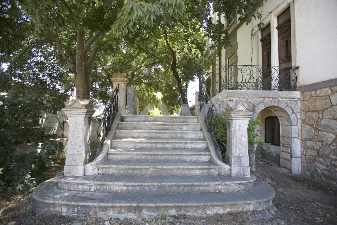 Quinta T5 para Venda em Serpa (Salvador e Santa Maria) Foto 14