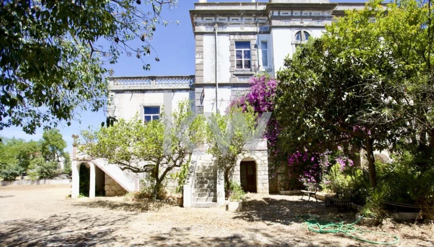 Quinta T5 para Venda em Serpa (Salvador e Santa Maria) Foto 6