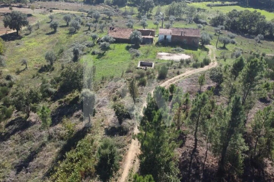 Quinta T5 para Venda em Souto da Casa Foto 4