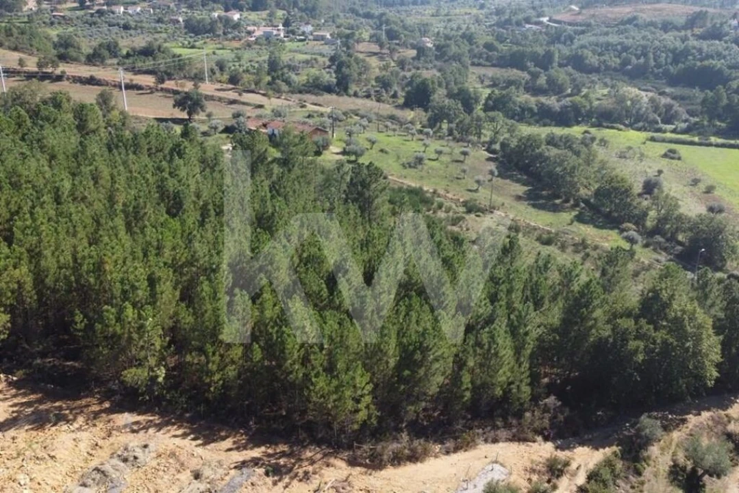 Quinta T5 para Venda em Souto da Casa Foto 9