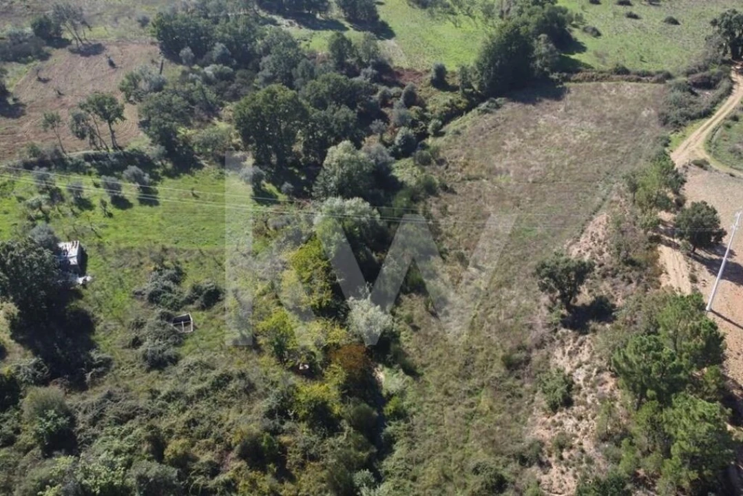 Quinta T5 para Venda em Souto da Casa Foto 16