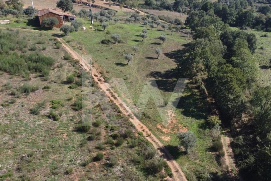 Quinta T5 para Venda em Souto da Casa Foto 26