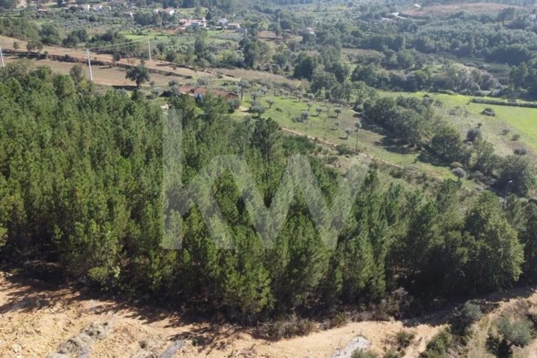 Quinta T5 para Venda em Souto da Casa Foto 9